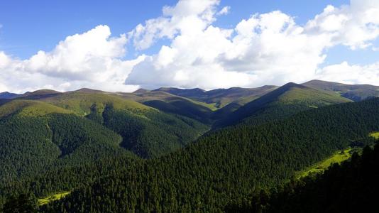 20071515281495841.jpg
